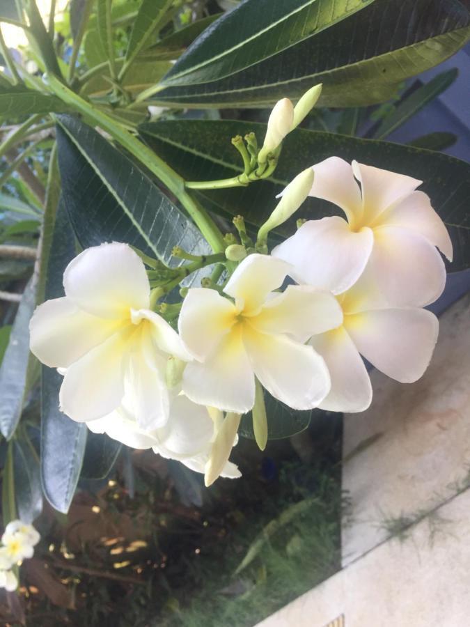 מלון מאה נאם ביץ' Lemon House Samui מראה חיצוני תמונה